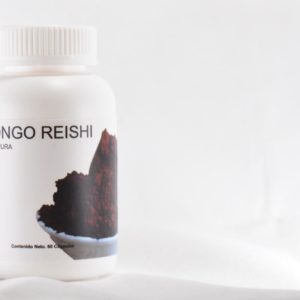 Hongo reishi